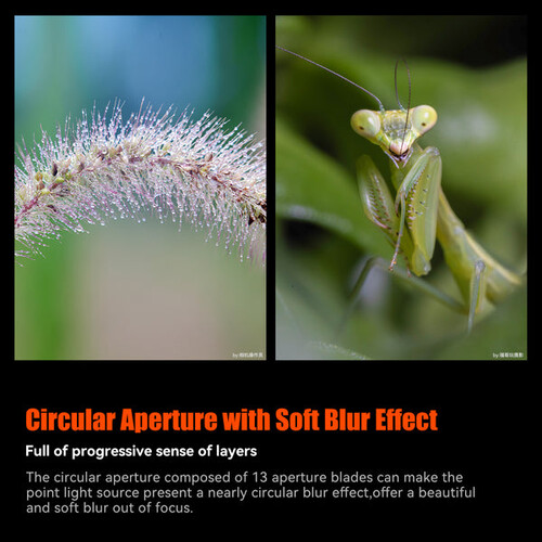 AstrHori 120mm f/2.8 2X Macro Lens (Sony E)