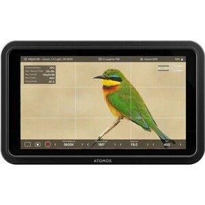 Atomos Shinobi II - Thumbnail