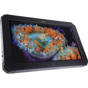 Atomos - Atomos Sumo 19 SE (1)