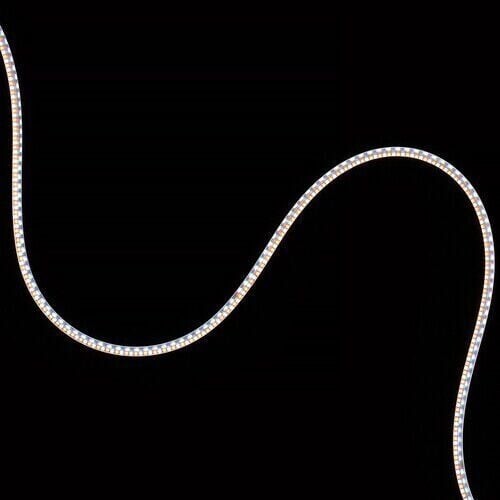 Atomos Sun Dragon – 5m Difüzörlü HDR LED Şerit Işık (Beyaz)