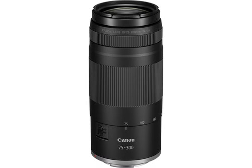 Canon EOS R10 75-300mm f/4-5.6 Lens Kit