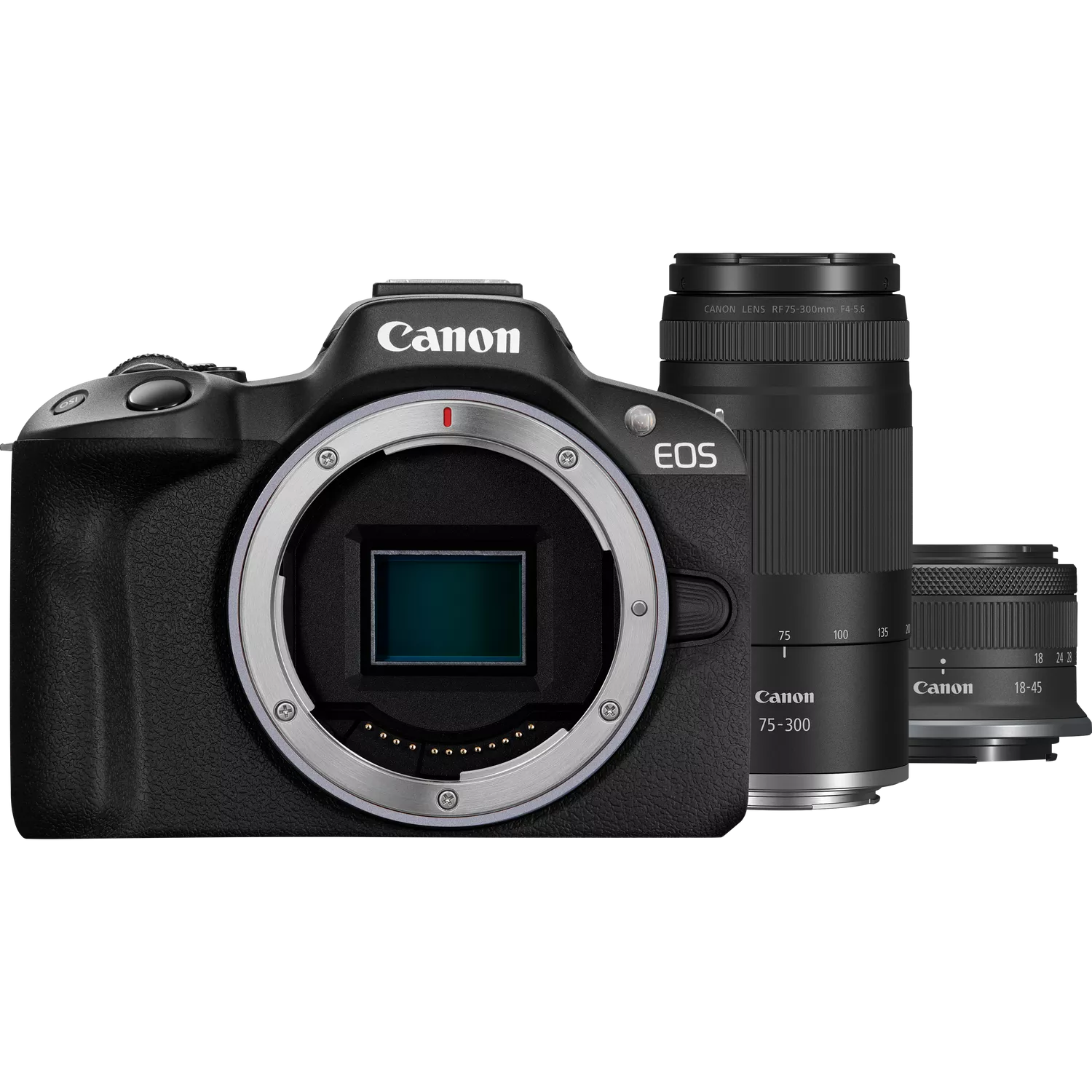 Canon EOS R50 RF-S 18-45mm + 75-300mm Lens Kit - Thumbnail