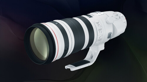 Canon RF 300-600mm f/5.6L IS USM Lens