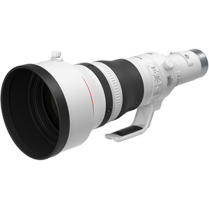 Canon RF 800mm f/5.6 L IS USM Lens - Thumbnail