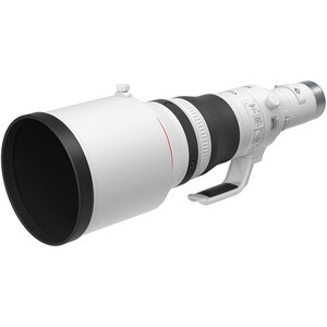 Canon RF 800mm f/5.6 L IS USM Lens - Thumbnail