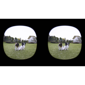 Canon RF-S 3.9mm f/3.5 STM Dual Fisheye Lens - Thumbnail