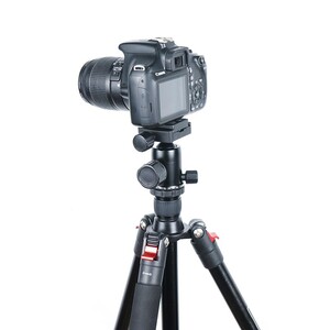 Digipod A2841P Pro + 36MT Top Kafa Tripod Kiti - Thumbnail