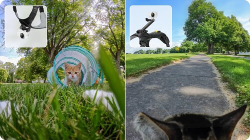 Insta360 Pet Harness Mount (Small)