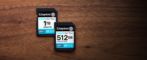 Kingston 256GB SDXC Canvas Go! Plus Gen4 200MB/s C10 UHS-I U3 V30