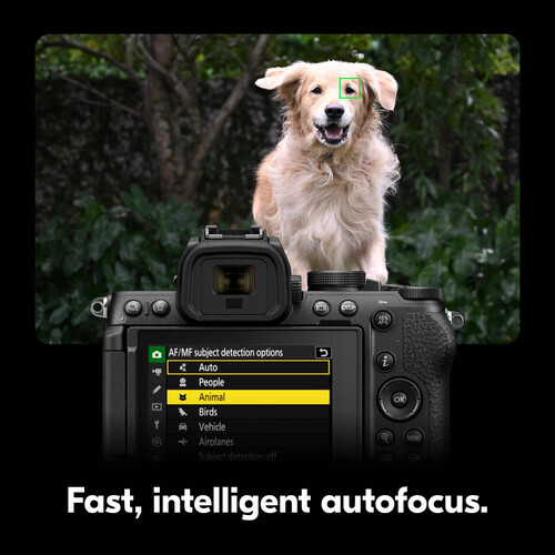 Nikon Z5 II Body Aynasız Fotoğraf Makinesi