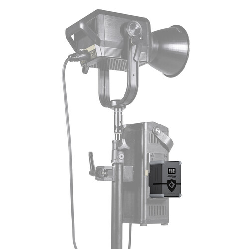 Patona 13795 Protect Gold Mount Batarya (G99-PD100 99Wh)