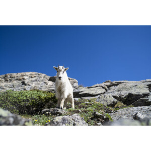 Sigma 24mm f/1.4 DG DN Art Lens (Sony E) - Thumbnail