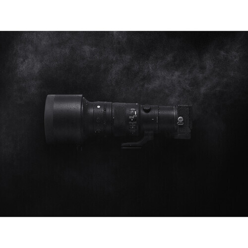 Sigma 500mm f/5.6 DG DN OS Sports Lens (L Mount)