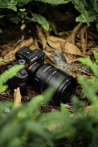 SongRaw AF 50mm F1.2 FE Moonlit Lens (Sony E) - Thumbnail
