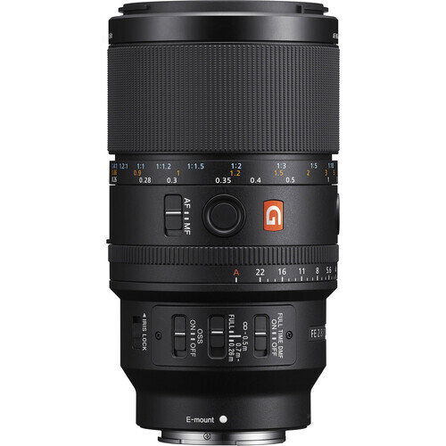 Sony FE 100mm f/2.8 Macro GM OSS Lens (Sony E)