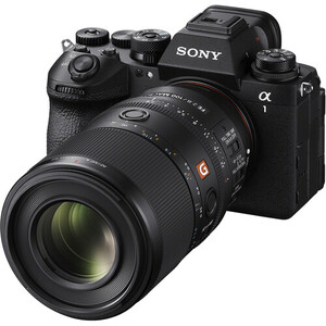 Sony FE 100mm f/2.8 Macro GM OSS Lens (Sony E) - Thumbnail