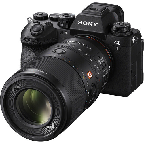 Sony FE 100mm f/2.8 Macro GM OSS Lens (Sony E)