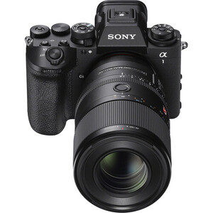 Sony FE 100mm f/2.8 Macro GM OSS Lens (Sony E) - Thumbnail