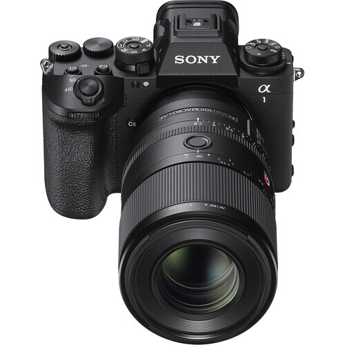 Sony FE 100mm f/2.8 Macro GM OSS Lens (Sony E)