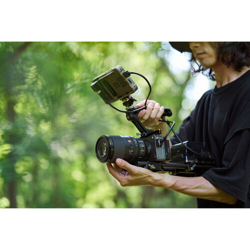 Sony FE 100mm f/2.8 Macro GM OSS Lens (Sony E)