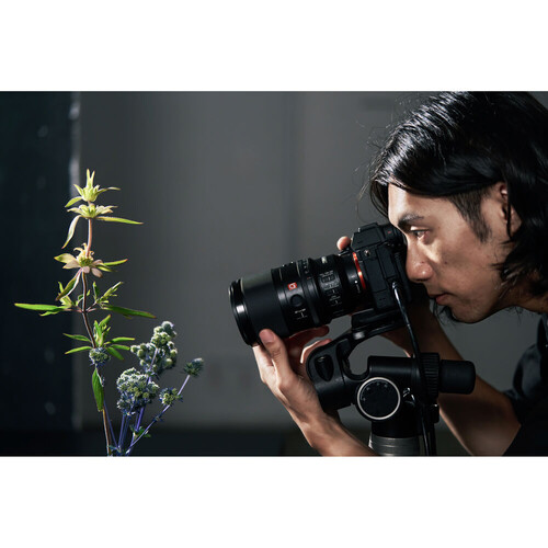 Sony FE 100mm f/2.8 Macro GM OSS Lens (Sony E)