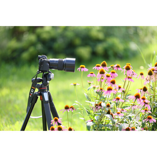 Tamron 90mm f/2.8 Di III VXD Macro Lens (Nikon Z)