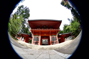 Tokina AF 10-17mm F3.5 - 4.5 ATX NH Lens (Nikon F) - Thumbnail