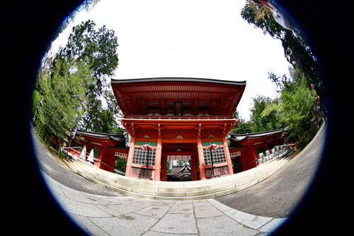 Tokina AF 10-17mm F3.5 - 4.5 ATX NH Lens (Nikon F)