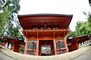 Tokina AF 10-17mm F3.5 - 4.5 ATX NH Lens (Nikon F) - Thumbnail