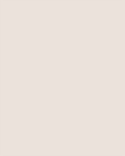 Visico Dawn Gray 2.72 x 11 Metre Fon Kağıdı