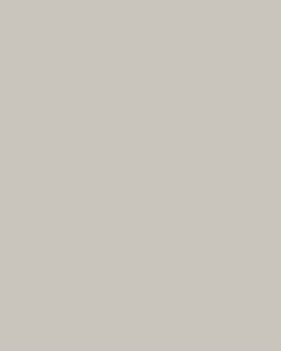 Visico Dull Aluminium 2.72 x 11 Metre Fon Kağıdı