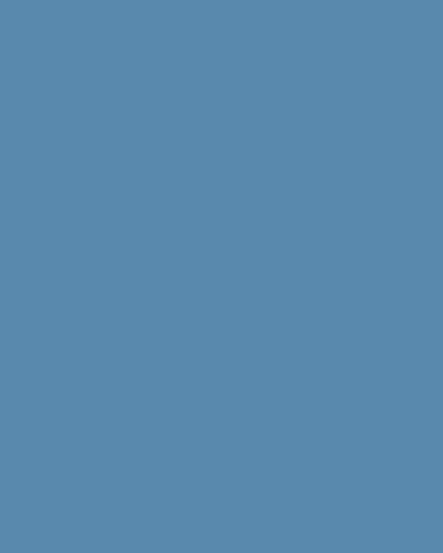Visico Marine Blue 2.72 x 11 Metre Fon Kağıdı