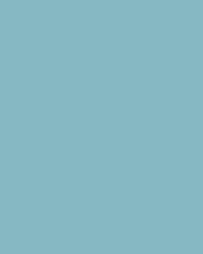 Visico Sky Blue 2.72 x 11 Metre Fon Kağıdı